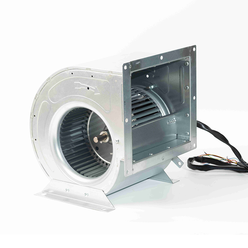 RHLF-EC7-7 - Image 2